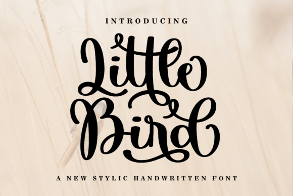 Little Bird: The Script Font for Modern Branding