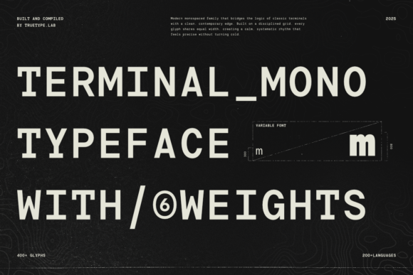 Terminal Mono: A Type System for Clarity and Control